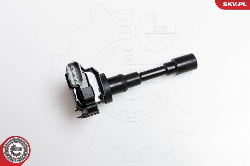 Ritė, uždegimas ESEN SKV 03SKV082