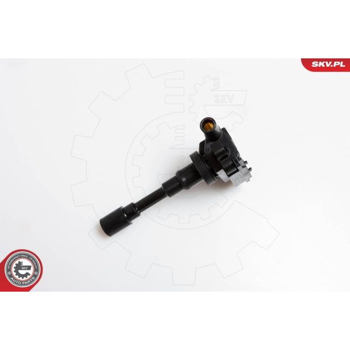 Ritė, uždegimas ESEN SKV 03SKV082