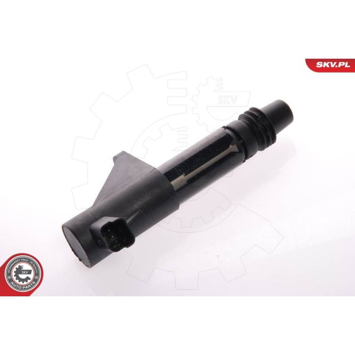 Ritė, uždegimas ESEN SKV 03SKV085