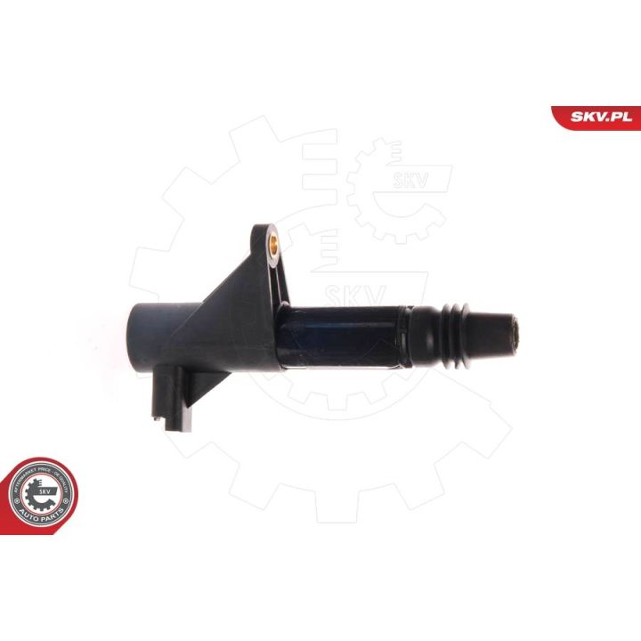 Ritė, uždegimas ESEN SKV 03SKV085