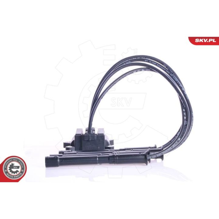 Ritė, uždegimas ESEN SKV 03SKV087