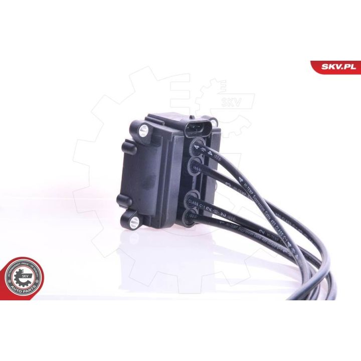 Ritė, uždegimas ESEN SKV 03SKV087