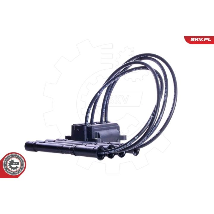 Ritė, uždegimas ESEN SKV 03SKV087