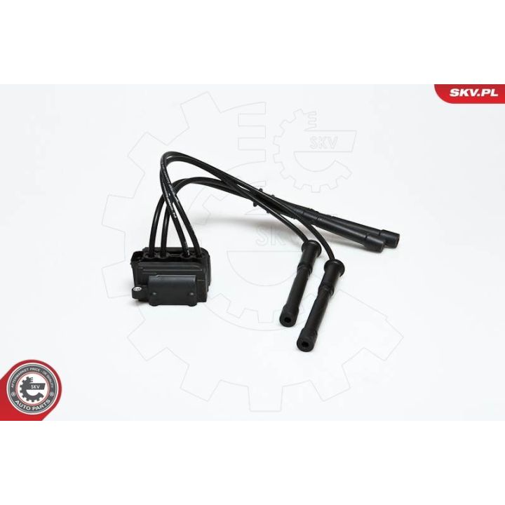 Ritė, uždegimas ESEN SKV 03SKV088