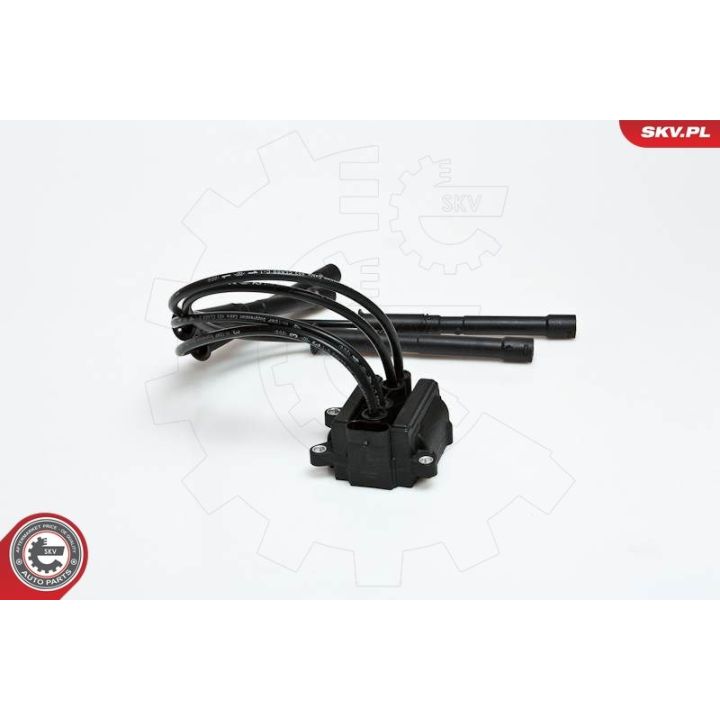 Ritė, uždegimas ESEN SKV 03SKV088