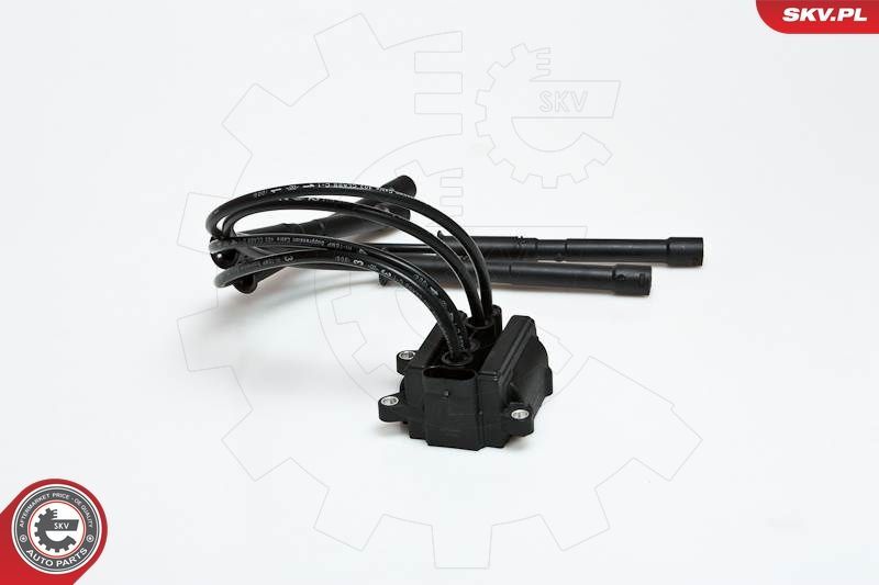 Ritė, uždegimas ESEN SKV 03SKV088