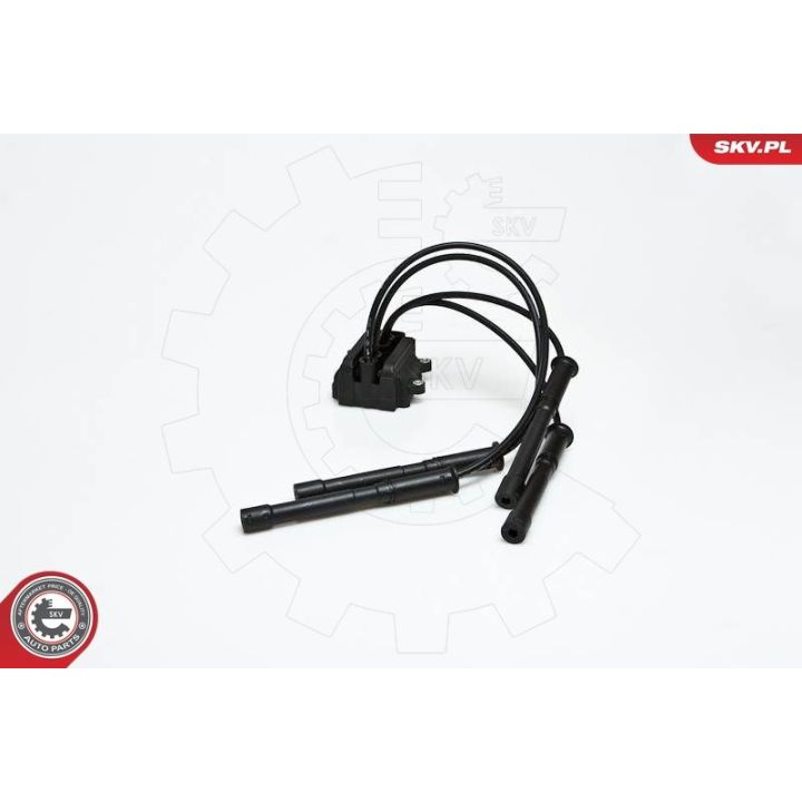 Ritė, uždegimas ESEN SKV 03SKV088