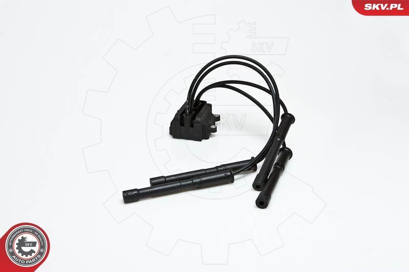 Ritė, uždegimas ESEN SKV 03SKV088