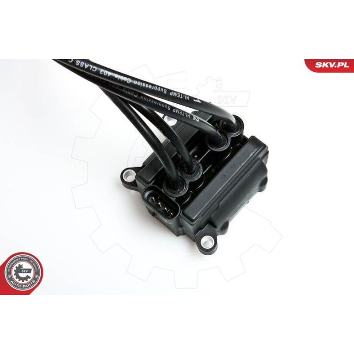 Ritė, uždegimas ESEN SKV 03SKV088