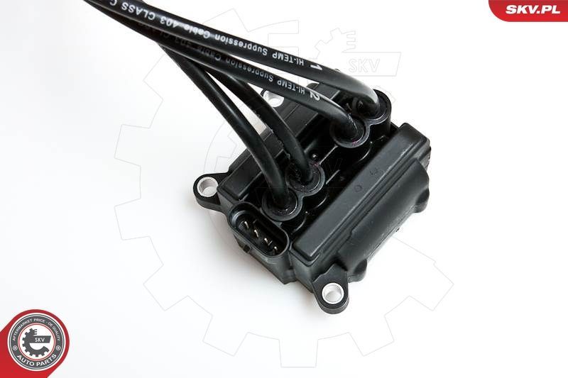 Ritė, uždegimas ESEN SKV 03SKV088