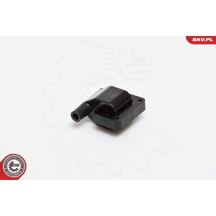 Ritė, uždegimas ESEN SKV 03SKV092