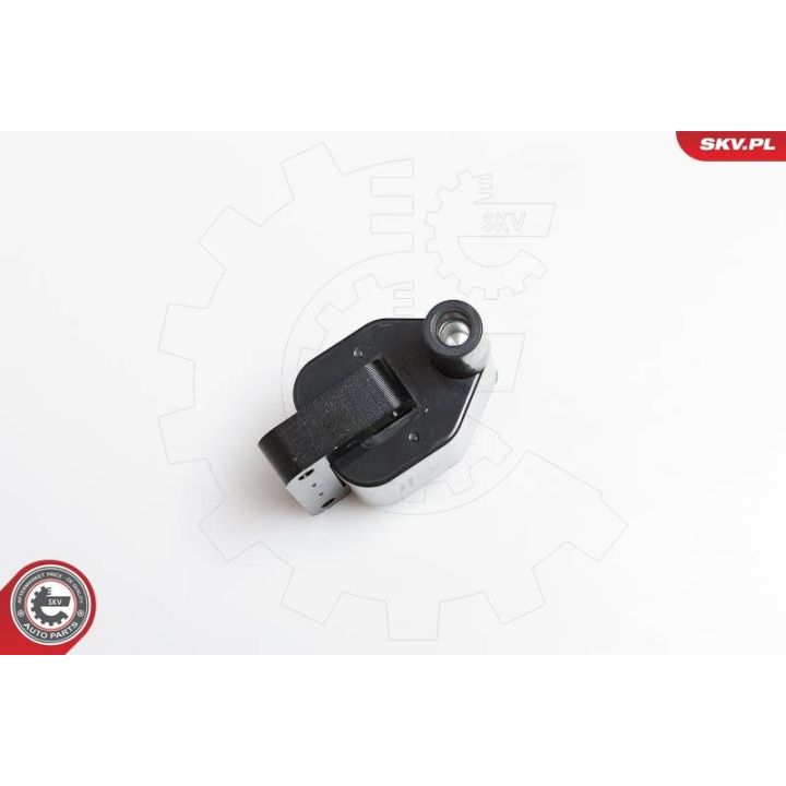 Ritė, uždegimas ESEN SKV 03SKV092