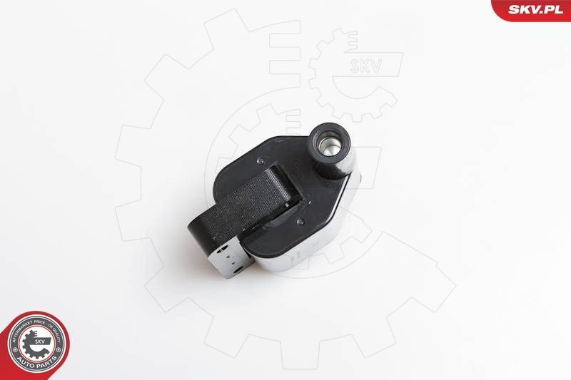 Ritė, uždegimas ESEN SKV 03SKV092