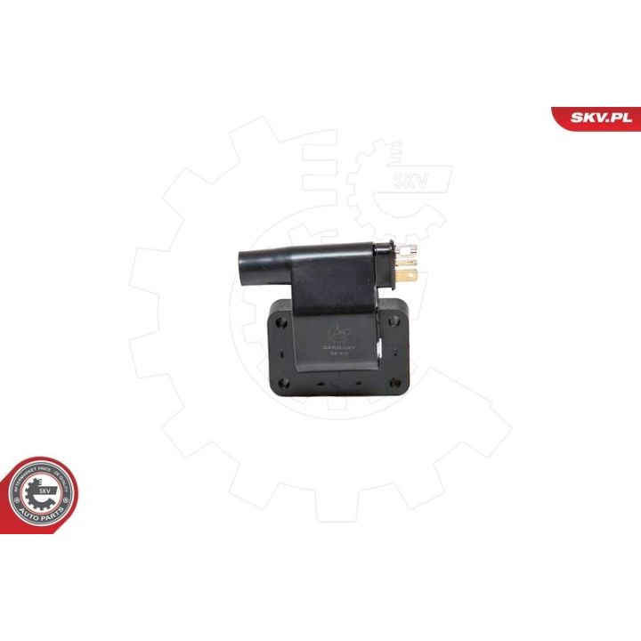 Ritė, uždegimas ESEN SKV 03SKV092