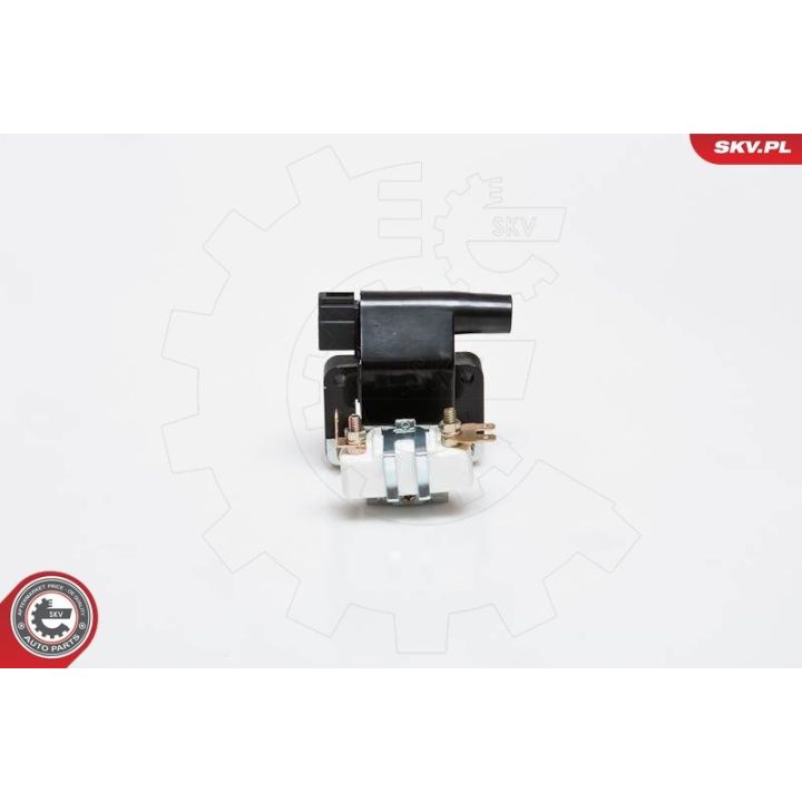 Ritė, uždegimas ESEN SKV 03SKV095