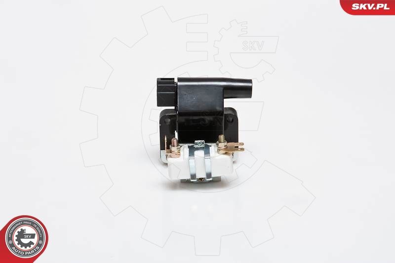 Ritė, uždegimas ESEN SKV 03SKV095