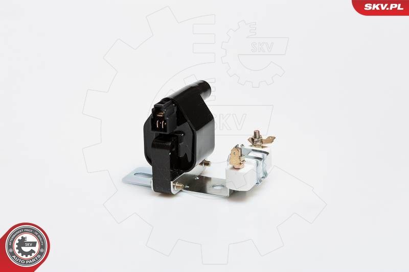 Ritė, uždegimas ESEN SKV 03SKV095