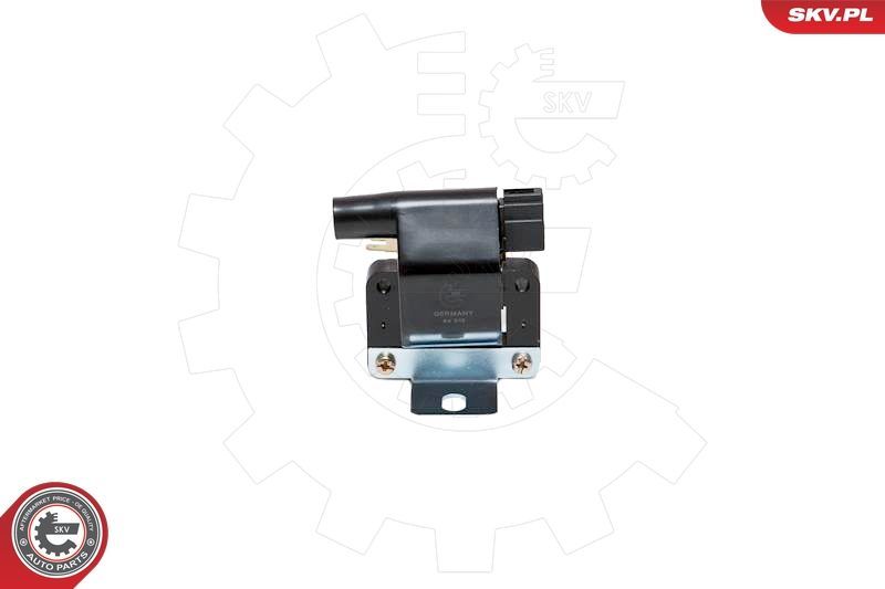 Ritė, uždegimas ESEN SKV 03SKV095