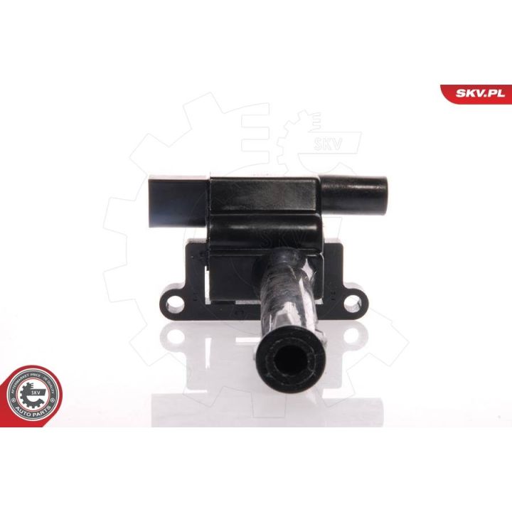 Ritė, uždegimas ESEN SKV 03SKV097