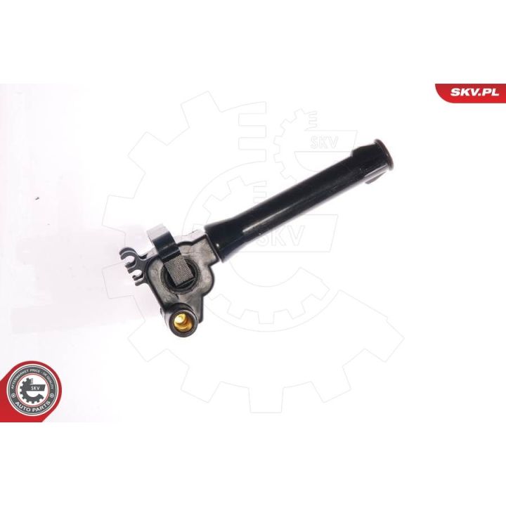 Ritė, uždegimas ESEN SKV 03SKV097