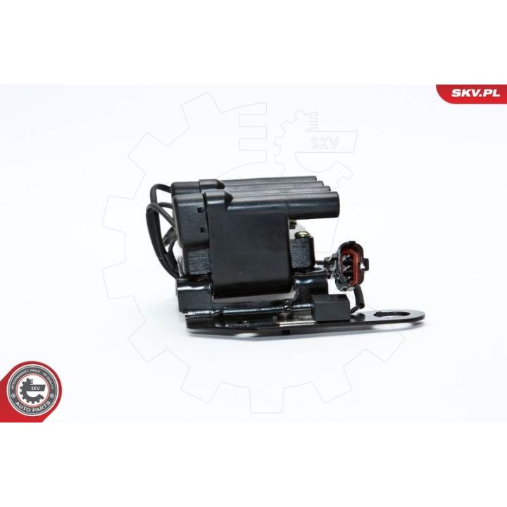 Ritė, uždegimas ESEN SKV 03SKV098