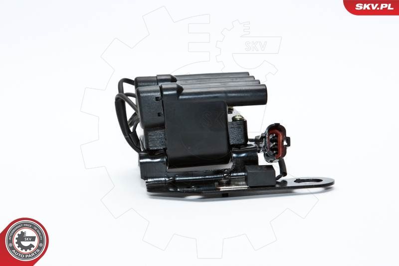 Ritė, uždegimas ESEN SKV 03SKV098