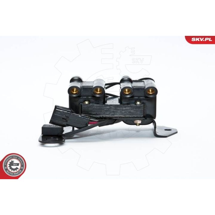 Ritė, uždegimas ESEN SKV 03SKV098