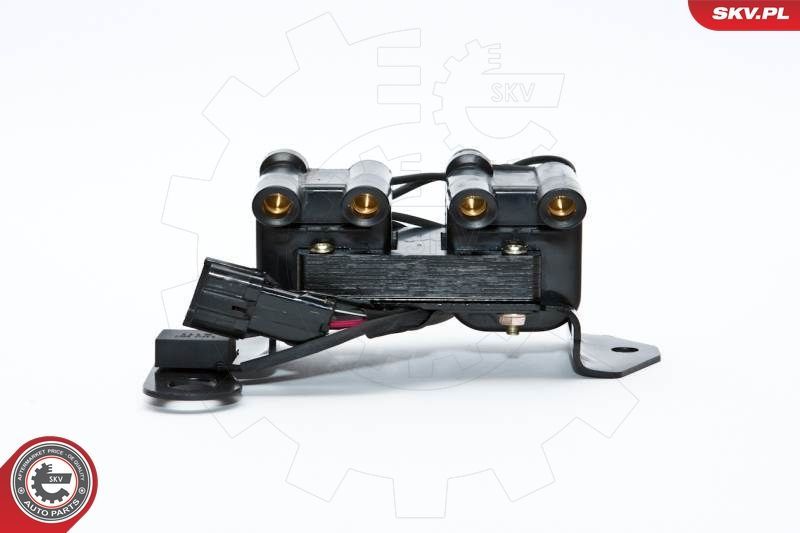 Ritė, uždegimas ESEN SKV 03SKV098