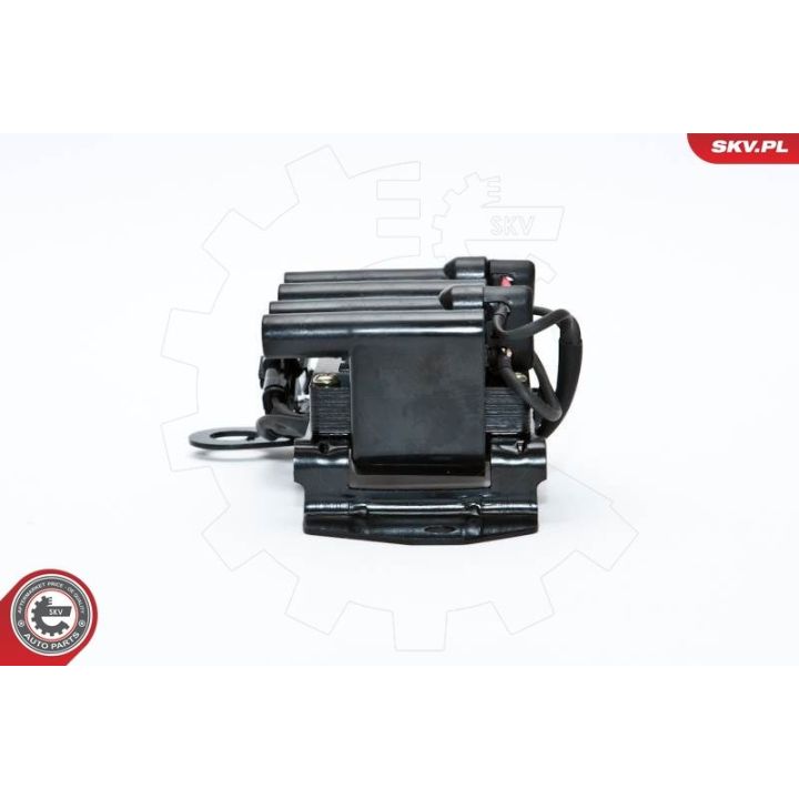 Ritė, uždegimas ESEN SKV 03SKV098