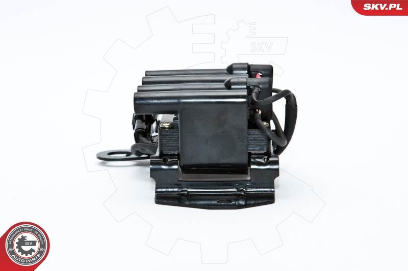 Ritė, uždegimas ESEN SKV 03SKV098