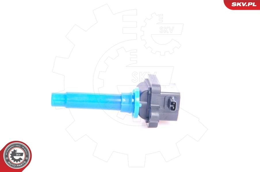 Ritė, uždegimas ESEN SKV 03SKV102