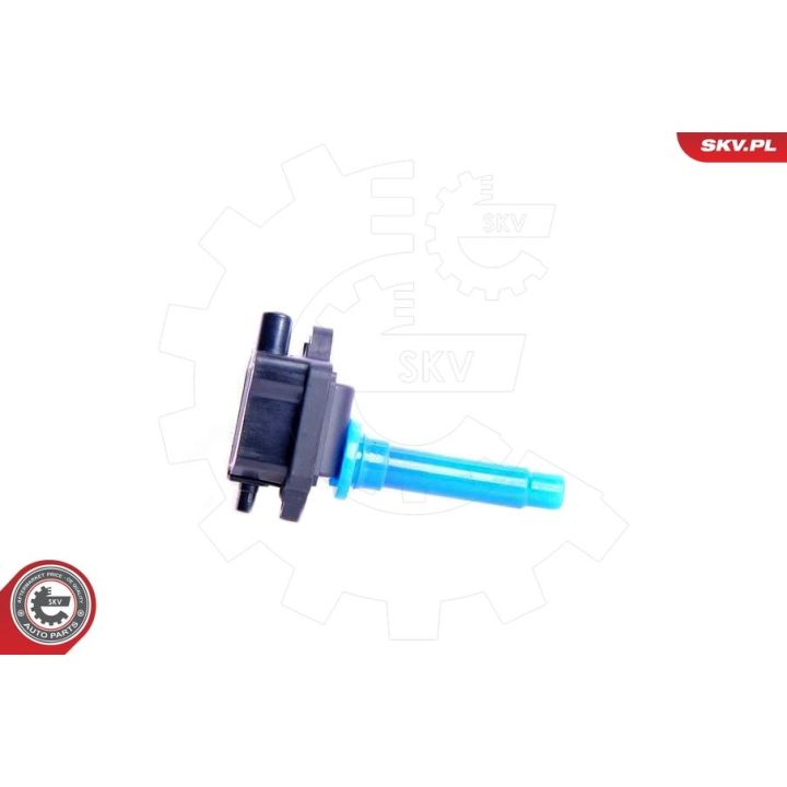 Ritė, uždegimas ESEN SKV 03SKV102