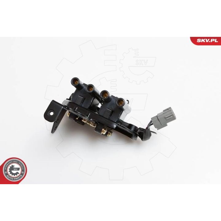 Ritė, uždegimas ESEN SKV 03SKV103