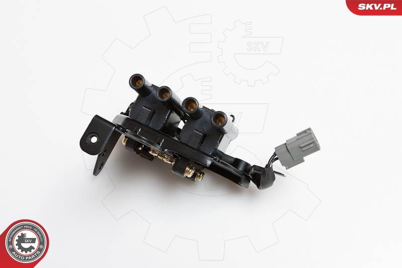 Ritė, uždegimas ESEN SKV 03SKV103