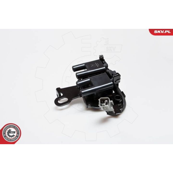 Ritė, uždegimas ESEN SKV 03SKV103