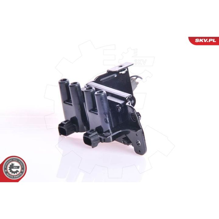 Ritė, uždegimas ESEN SKV 03SKV104