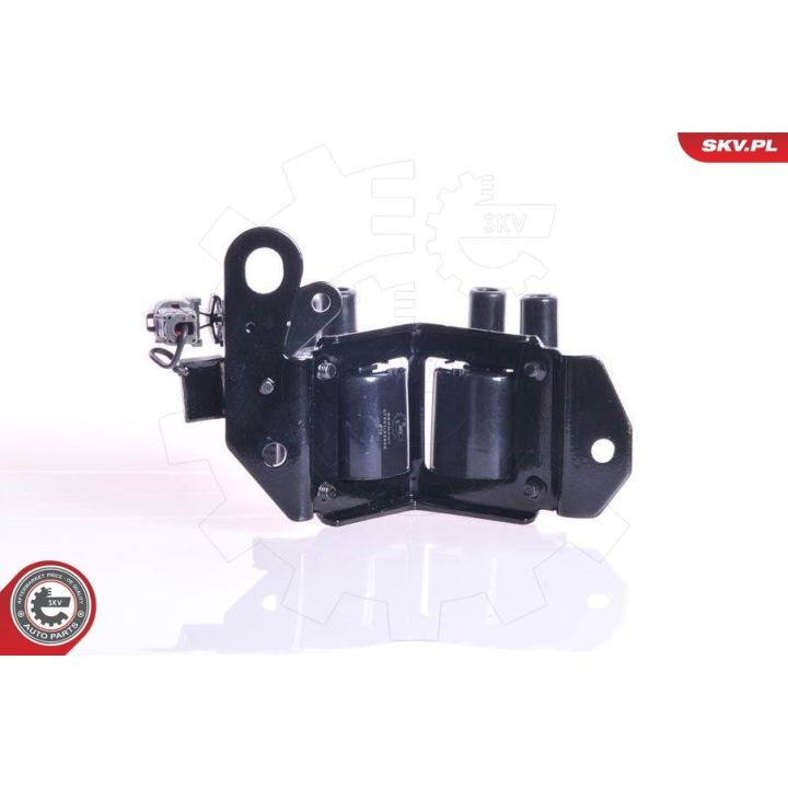 Ritė, uždegimas ESEN SKV 03SKV105