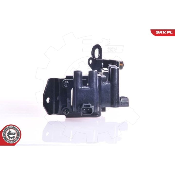 Ritė, uždegimas ESEN SKV 03SKV105