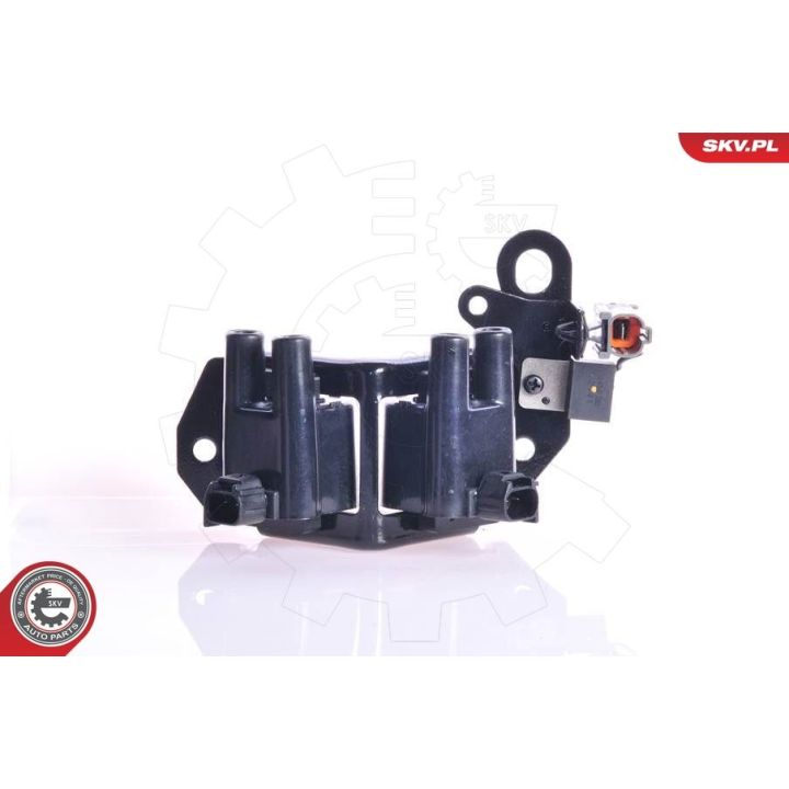 Ritė, uždegimas ESEN SKV 03SKV105