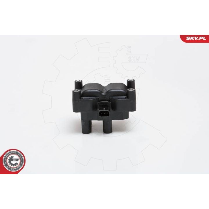 Ritė, uždegimas ESEN SKV 03SKV108