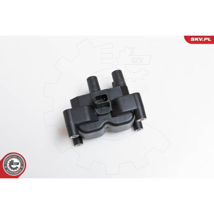 Ritė, uždegimas ESEN SKV 03SKV108