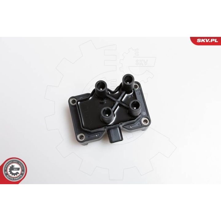 Ritė, uždegimas ESEN SKV 03SKV108