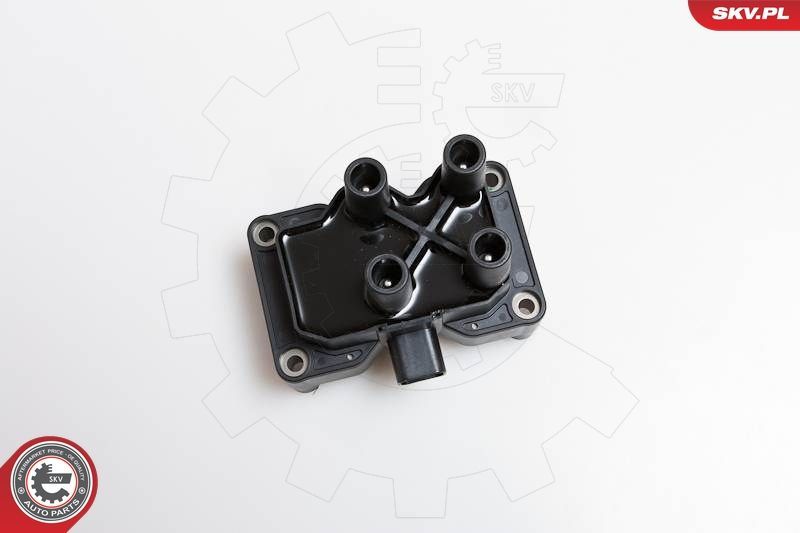 Ritė, uždegimas ESEN SKV 03SKV108