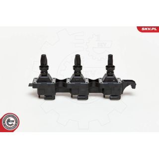 Ritė, uždegimas ESEN SKV 03SKV114