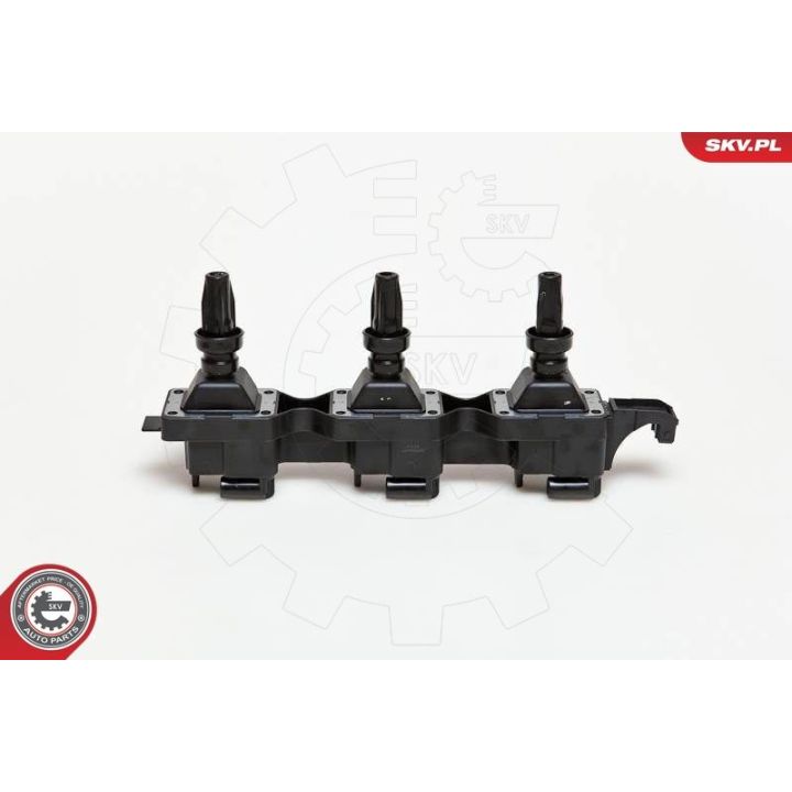 Ritė, uždegimas ESEN SKV 03SKV114