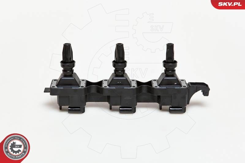 Ritė, uždegimas ESEN SKV 03SKV114