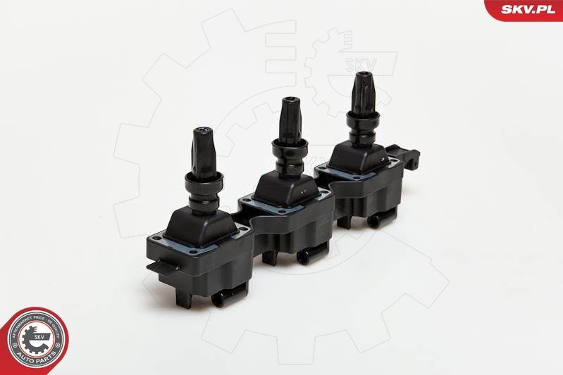 Ritė, uždegimas ESEN SKV 03SKV114