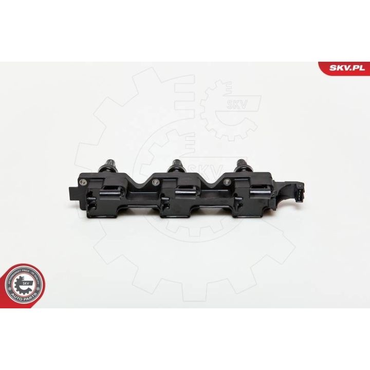 Ritė, uždegimas ESEN SKV 03SKV114