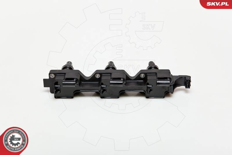 Ritė, uždegimas ESEN SKV 03SKV114