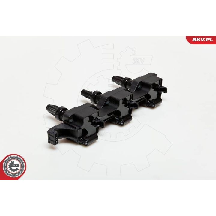 Ritė, uždegimas ESEN SKV 03SKV114